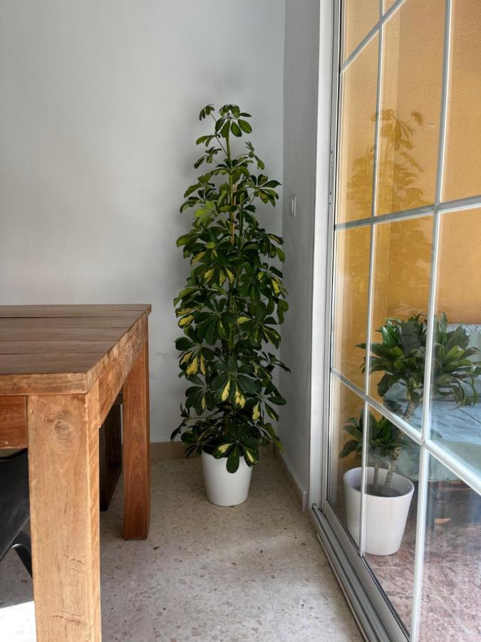 מאלגה Apartamento La Biznaga מראה חיצוני תמונה